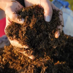 Mulch your garden to suppress weeds