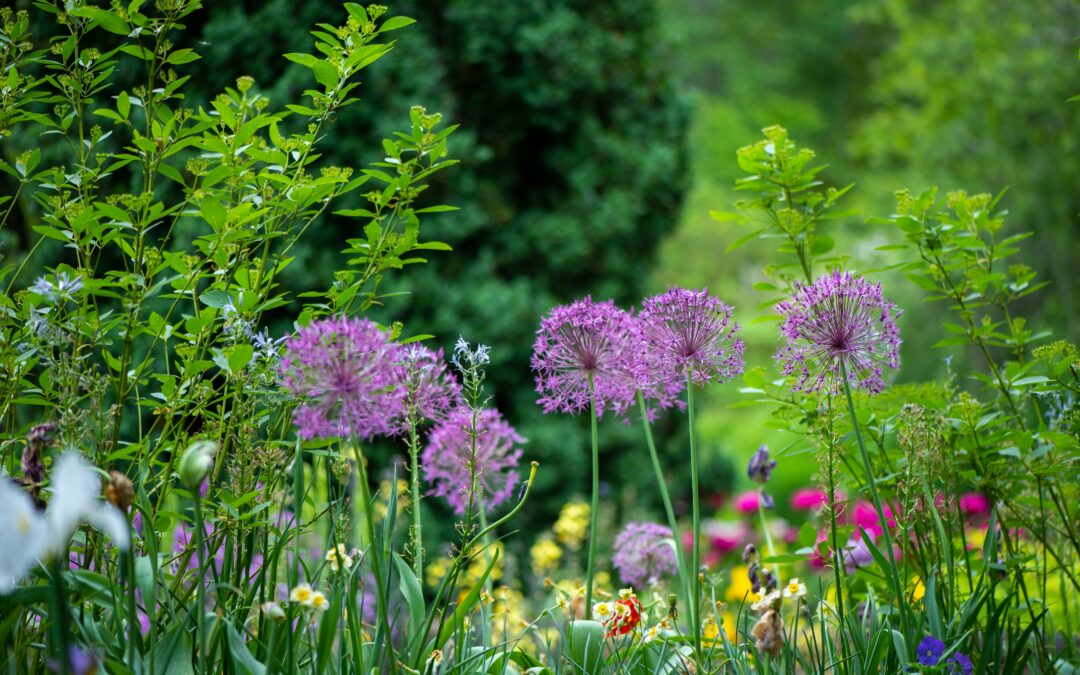 Creating the perfect rental garden