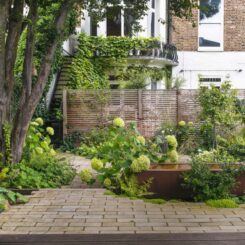 Paved garden - ditch the grass