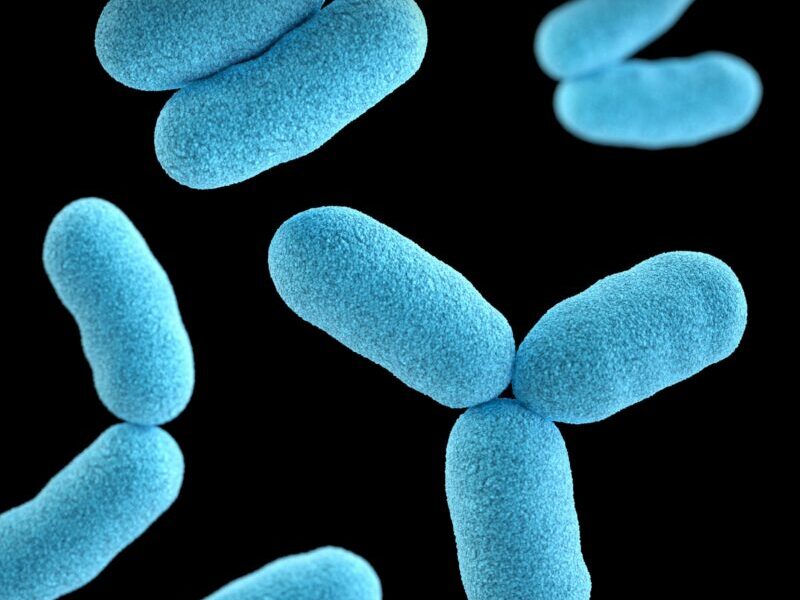 Legionella testing rental property